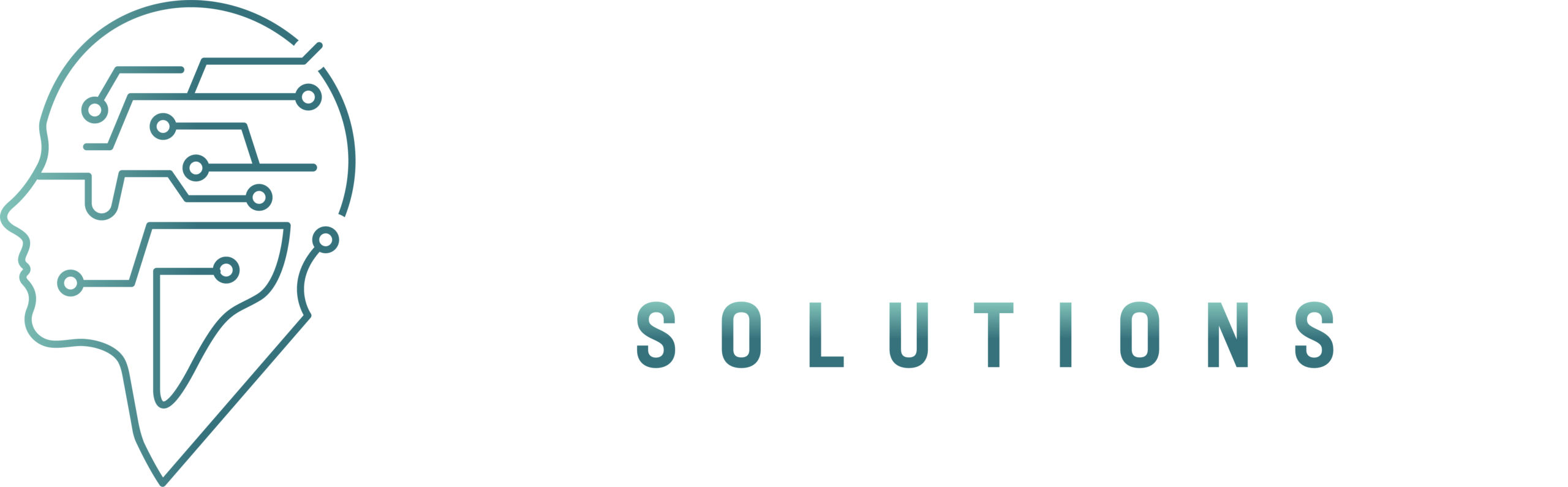 Softroit Solutions